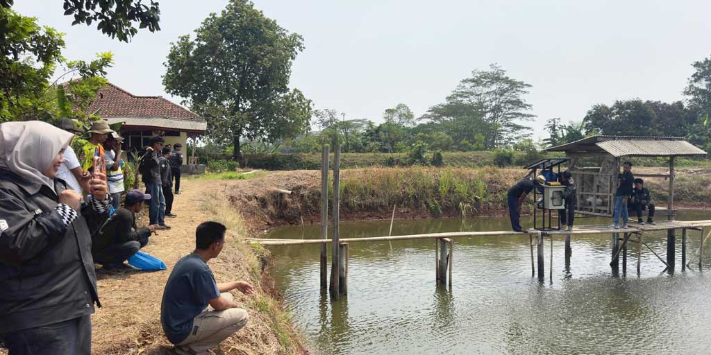Sistem Budidaya Ikan Cerdas Terintegrasi